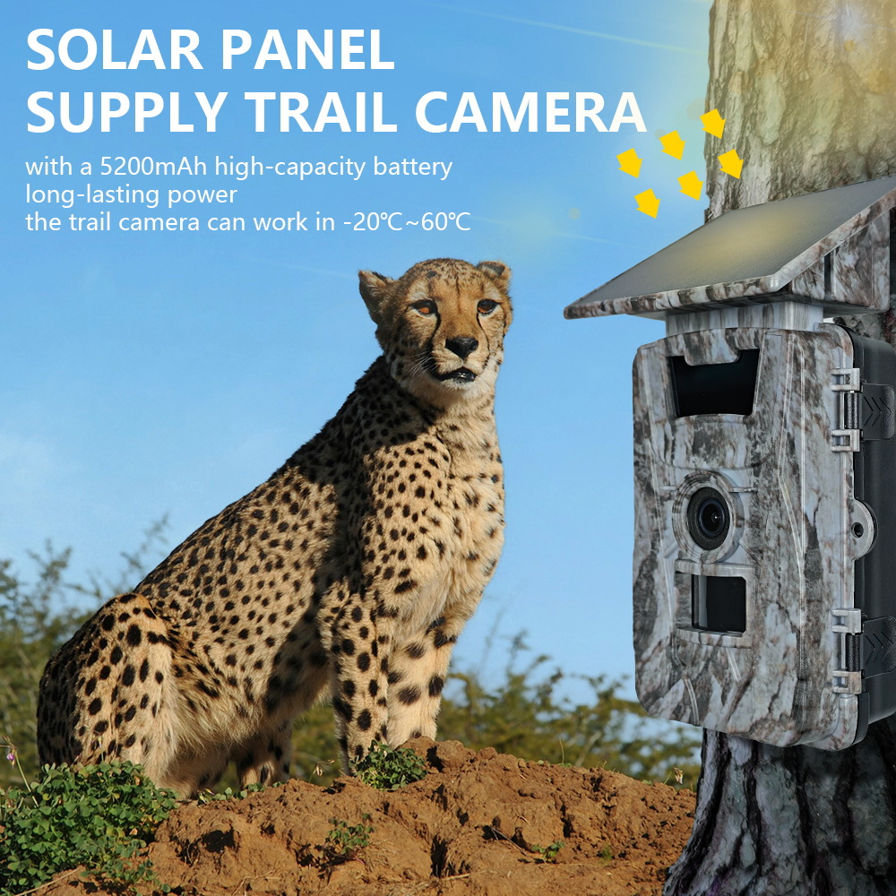 Câmera de caça solar wifi 4k 6 - Outdoor Hunting Camera Wifi avaliação e preço