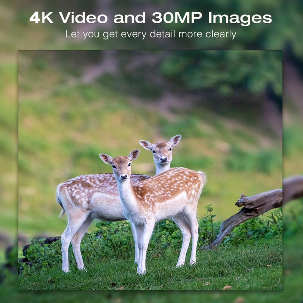 Câmera de caça com painel sola - Outdoor Hunting Camera Wifi avaliação e preço