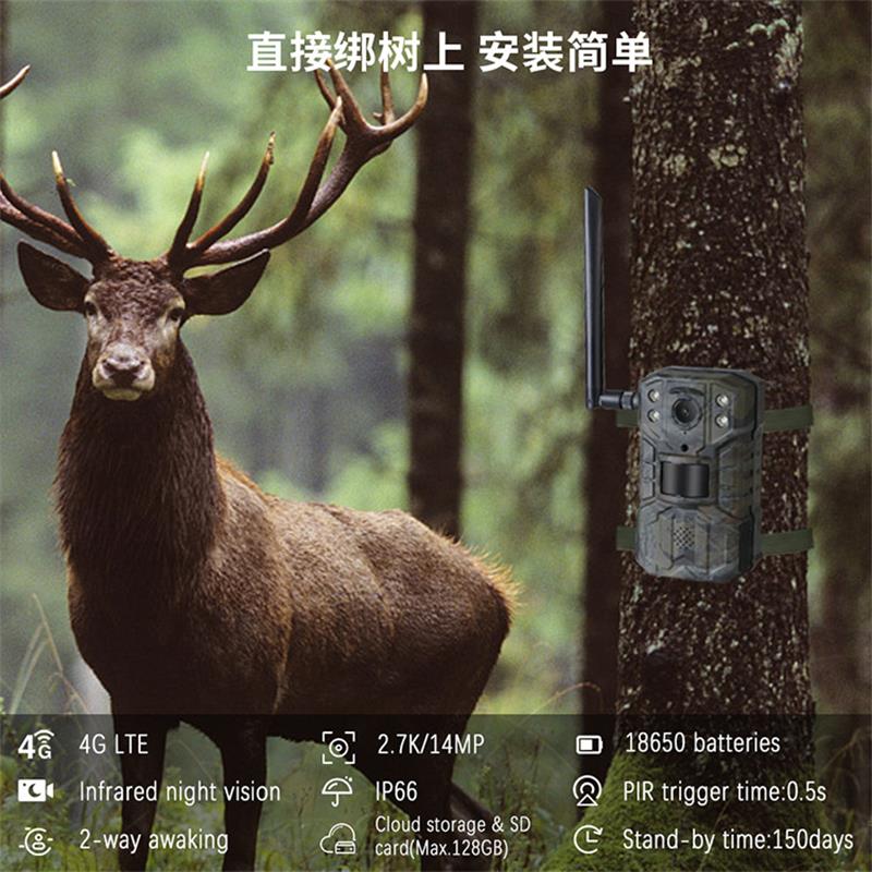 Câmera de Caça Solar 4G LTE co - Outdoor Hunting Camera Wifi avaliação e preço