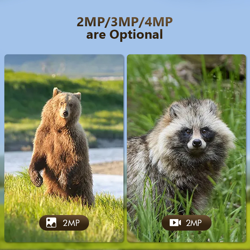 Câmera de jogo de trilha de ca - Outdoor Hunting Camera Wifi avaliação e preço